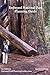 Redwood National Park Plann...