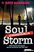 Soul Storm (Soul beach trilogy Book 3)