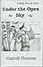 Under the Open Sky (Matty T...