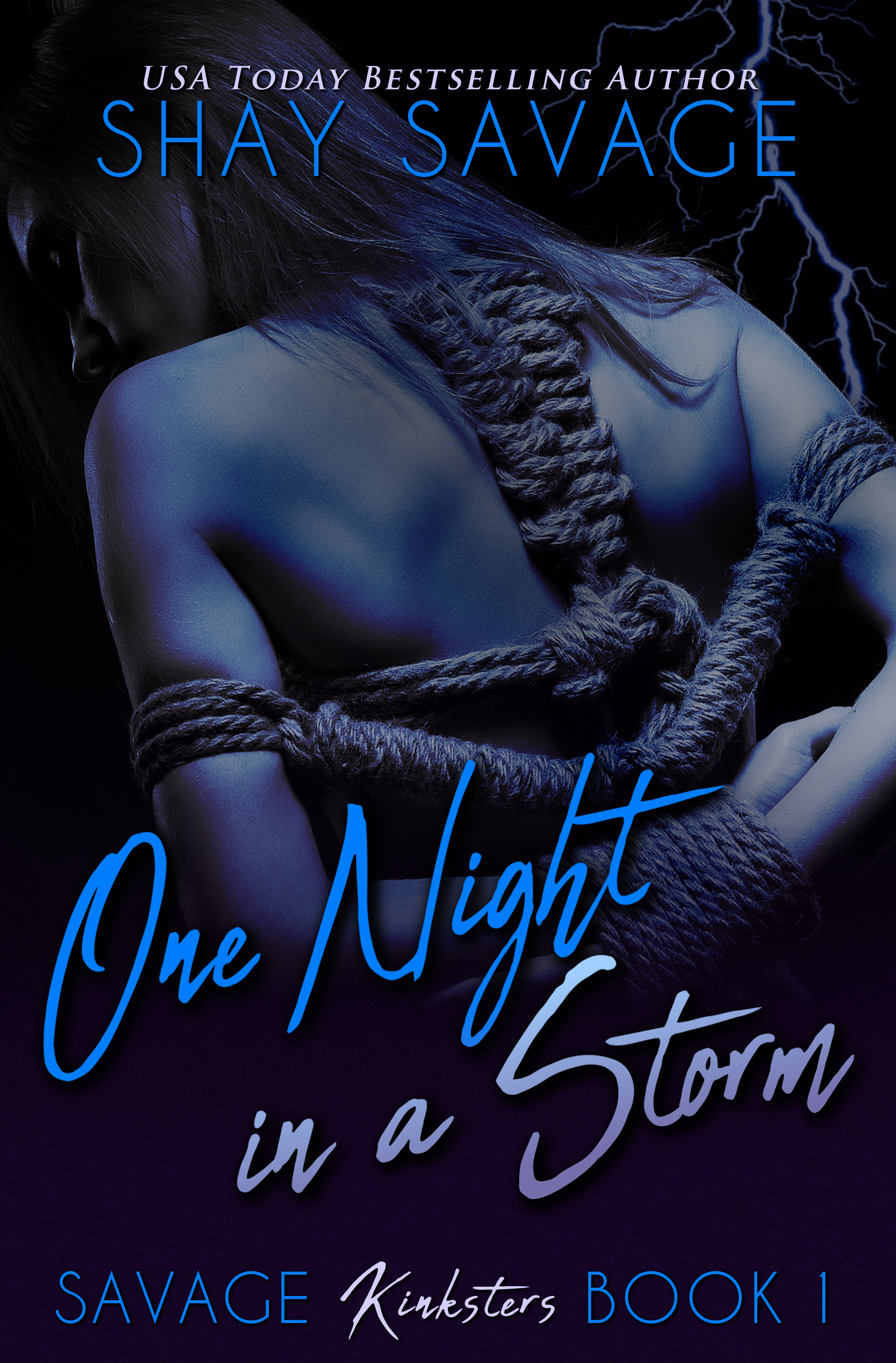 One Night in a Storm (Savage Kinksters #1)