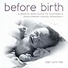Before Birth: A w...