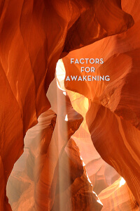 Factors for Awakening (Unknown Binding)