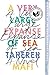 A Very Large Expanse of Sea by Tahereh Mafi