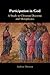 Participation in God: A Study in Christian Doctrine and Metaphysics