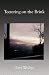 Teetering on the Brink: sto...