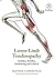 Lower-limb Tendinopathy (Bl...