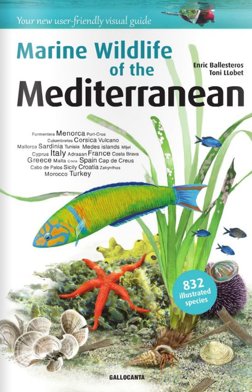 Marine Wildlife of the Mediterranean (Paperback)