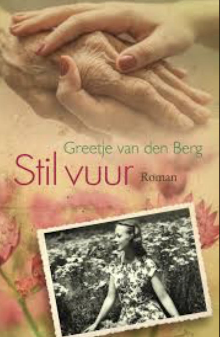 Stil vuur (ebook)