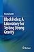 Black Holes: A Laboratory for Testing Strong Gravity