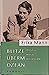 Blitze überm Ozean: Aufsätze, Reden, Reportagen