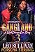 Gangland 3: A Real Chicago ...