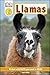 DK Readers Level 2: Llamas