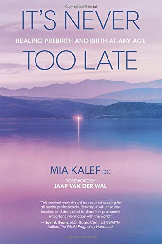 It's Never Too Late: Healing Prebirth And Birth At Any Age (Paperback)