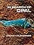 In Search of Opal