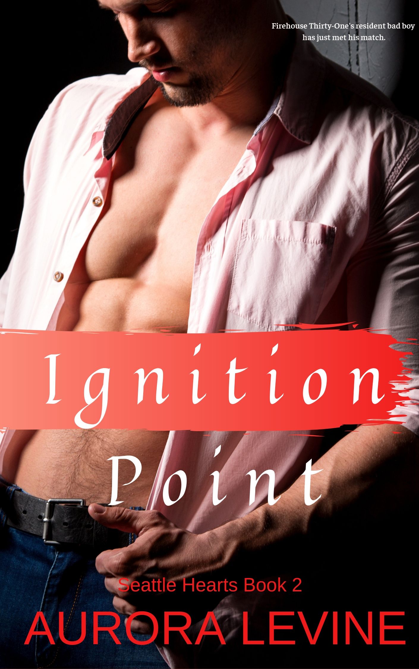 Ignition Point (Kindle Edition)
