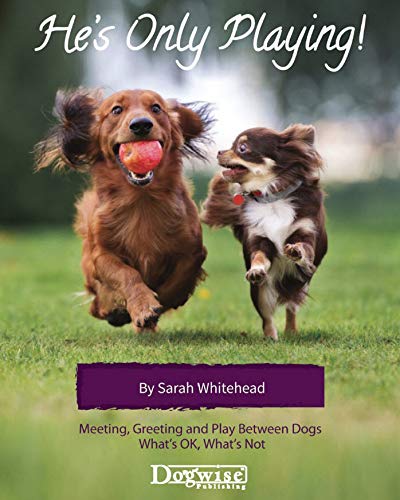 He's Only Playing! Meeting, Greeting and Play Between Dogs. What's OK, What's Not (Kindle Edition)
