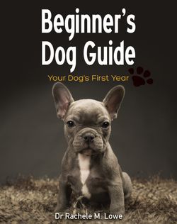 first dog guide