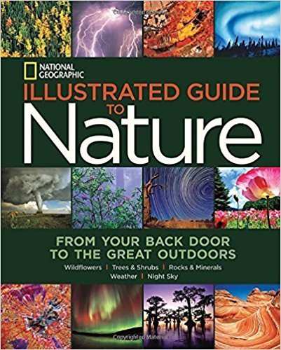 Illustrated Guide to Nature : From Your Back Door to the Great Outdoors: Wildflowers, Trees and Shrubs, Rocks and Minerals, Weather, Night Sky (Hardcover)