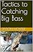 Tactics to Catching Big Bass