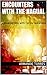 Encounters with the nagual: Conversations with Carlos Castaneda