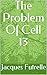 The Problem Of Cell 13