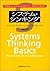 Systems Thinking Basics: Fr...