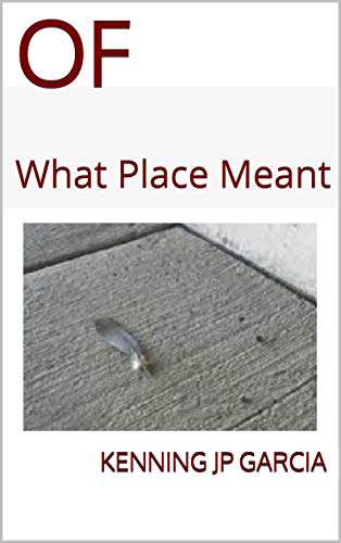 OF: What Place Meant (Kindle Edition)