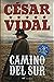 Camino del sur