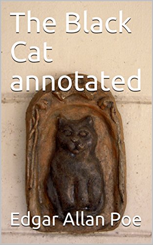 The Black Cat annotated