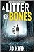 A Litter of Bones (DCI Logan Crime Thrillers, #1)