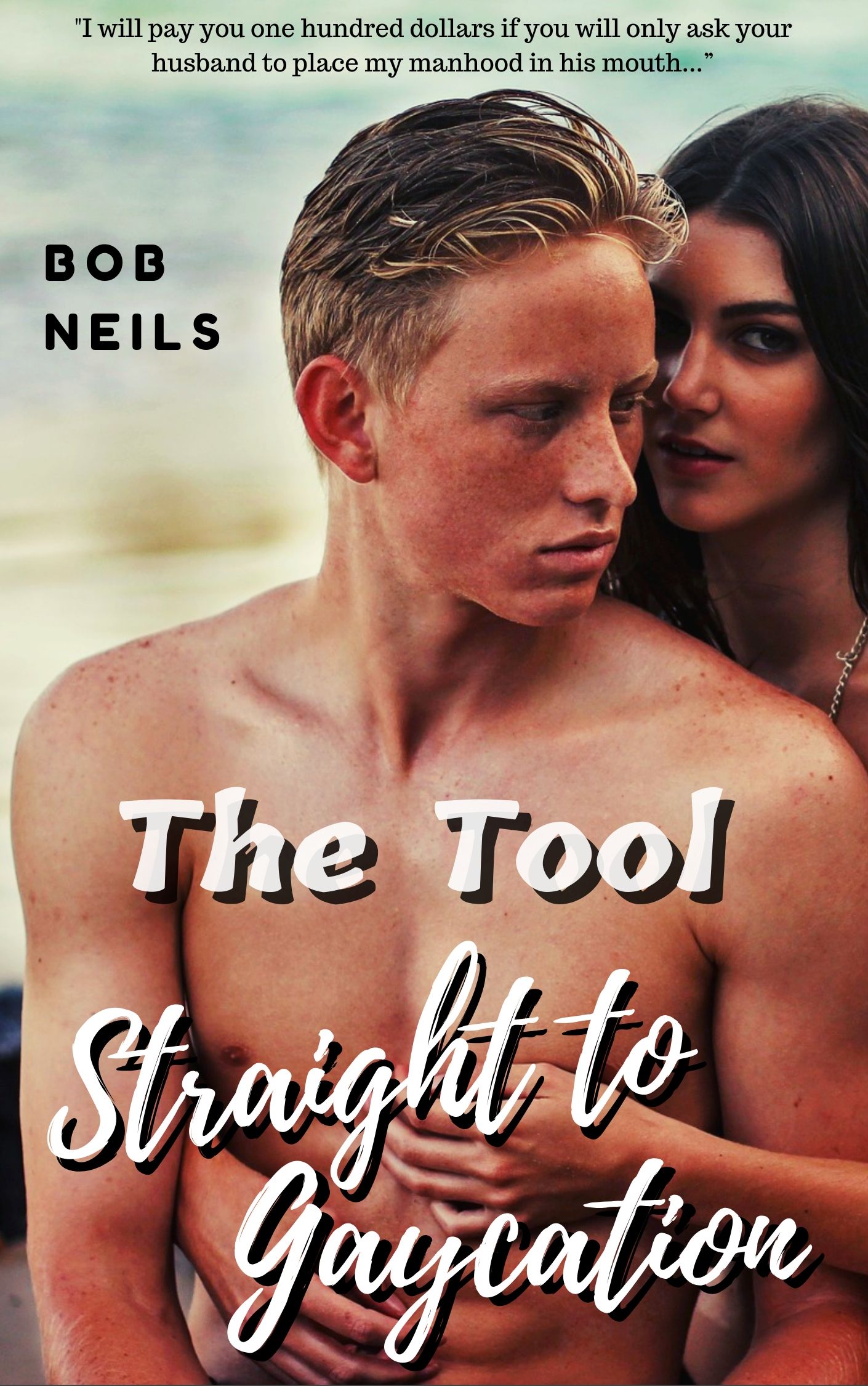 The Tool: Straight-to-Gaycation (Kindle Edition)