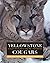 Yellowstone Cougars by Toni K. Ruth