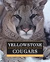 Yellowstone Couga...