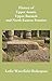 History of Tipu Sultan