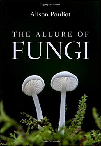 The Allure of Fungi (Paperback)