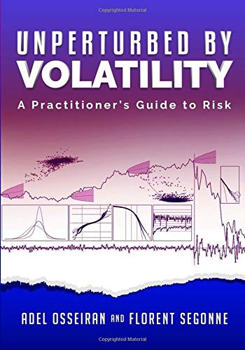 Unperturbed By Volatility: A Practitioner's Guide To Risk (Paperback)