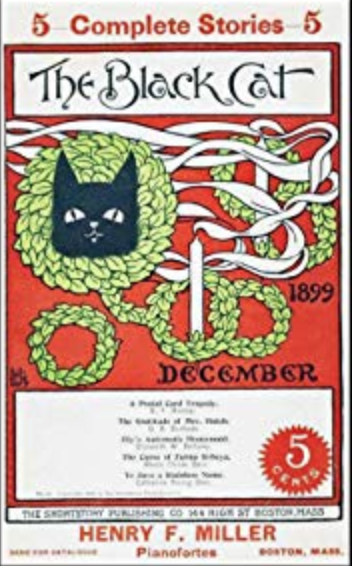 Ely's Automatic Housemaid (ebook)