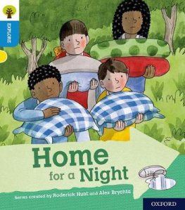 Home for a Night (Paperback)