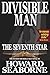 Divisible Man - The Seventh...