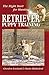 Retriever Puppy Training: T...
