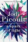 A Spark of Light by Jodi Picoult