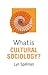 What is Cultural Sociology?