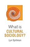 What is Cultural Sociology?