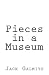 Pieces in a Museum