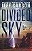 Divided Sky (David Wolf, #13)