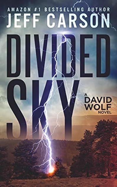 Divided Sky (David Wolf #13)