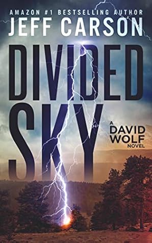 Divided Sky (David Wolf, #13)