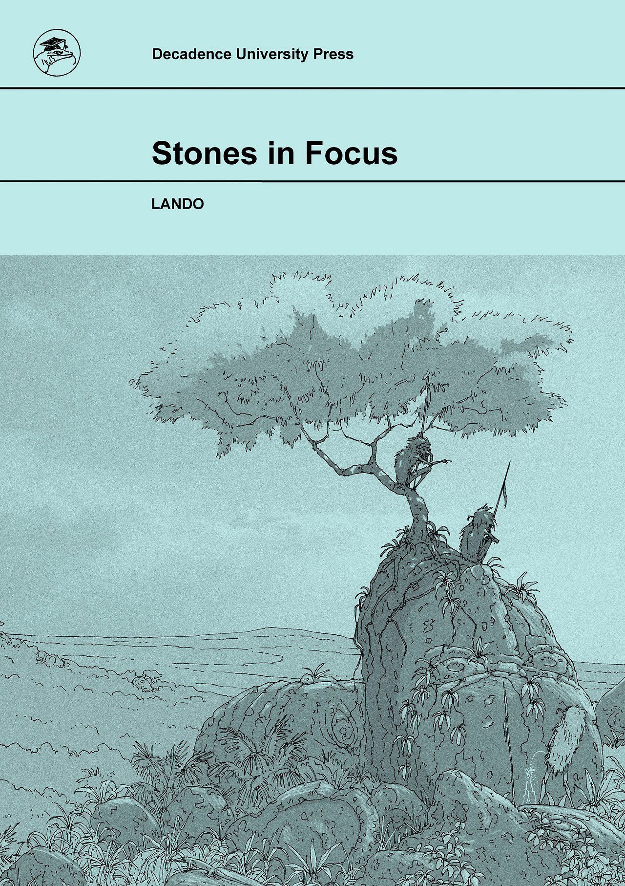 Stones in Focus (Paperback)