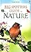 Big Spotter's Guide to Nature
