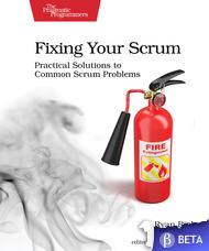 Fixing your Scrum (Paperback)